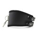 Leather Collar With Ring & Buckle